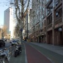 석촌상가 앞 횡단보도 이미지