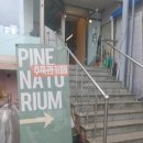 새천년목욕탕 이미지