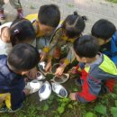 애벌레도서관 이미지