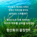 TS메드 네이버블로그
