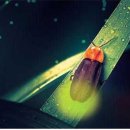 고성공룡나라(통영) 이미지