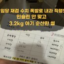 빛고을약국 | 임당 재검 임당 확정, 인슐린 없이 3.2kg 아기 출산한 썰 (feat. 건보 요양비 환급 팩트체크)