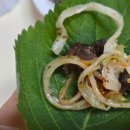 양지타운ll | 내돈내산 신림동 순대타운 양지순천집 백순대곱창볶음 배달 후기