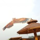 수리야 놀자 이미지