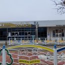 영동군 관광안내소 이미지