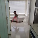 세화헬스케어