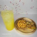 365자연을담다 이미지