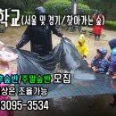가까운숲