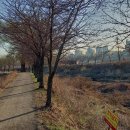 지천생태길 이미지