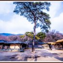 느림보농장 이미지