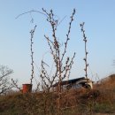 해마루농원 이미지