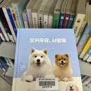 와플샵 자곡점