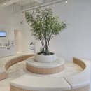 봄이온동물병원 | ♥각산동 동물병원~"봄이온 동물병원"에 봄같은 동물병원입원장 설치♥