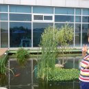 인삼랜드휴게소 이미지