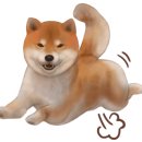 백두동물병원 이미지