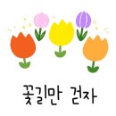휴대폰으로 찍는 인생사진 이미지