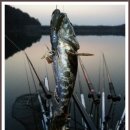 산정소류지 이미지