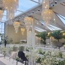 학장교 앞 교통섬 횡단보도 | 혼인4) 대구 홀투어 후기1(노비아갈라동촌, 노비아갈라전자, M스타, 수성호텔, 마리드메이) 견적 공유