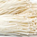 제일섬유 이미지