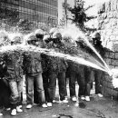 구로-신도-구로-80 이미지