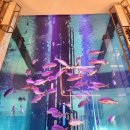 로얄수족관 | [2025.05] 아틀란티스 더 로얄(Atlantis the Royal) - 2. 기타(로비, 식당, 풀장, 운동시설 등)