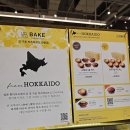 현대애견 이미지