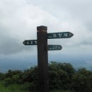 소호농장 이미지