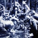 서봉총 발굴(1926)과 금관의 수난, 쇄말적(瑣末的) 이미지