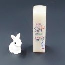 나만의 수제도장 만들기(6월) | 요녕석 수제도장 제작 후기 | 감성 가득 나만의 맞춤 인감도장 만들기