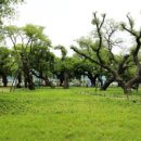 성주 별고을길 1코스 이미지