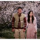 너는내운명 이미지