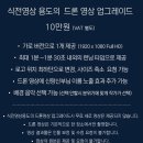 인디고브릿지