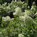 충숙근린공원 이미지