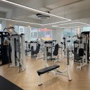 바른체 에이스짐 이미지