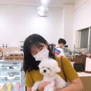 멍뜰리에 이미지