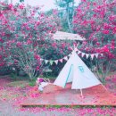 산풍목장 이미지