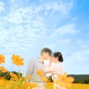 제주 하연 이미지