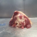 GBP_Patella Bone_도가니 이미지