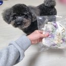 그루몽실 이미지