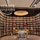 골드앤브라운 | 부산 서면 롯데호텔 부산 더 라운지 앤 바 분위기 좋은 호텔 라운지 후기
