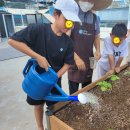 수원시농업기술센터 ＜함께그린텃밭＞ 가꾸기 (8월20일) 이미지