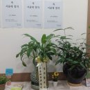 수학과생각을디자인하다학원 | 개포동수학학원 찾다가 알게 된 수학과표현학원 후기 ✏️📚