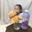 로지오가닉 농장 이미지