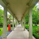 파미르팜 이미지