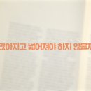 프란 이미지