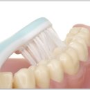 서울바른현치과의원 이미지