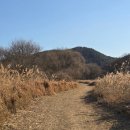 철새보러가는길 | 창녕여행#우포늪둘레길#철새보러가는길