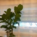 밀리언고깃집