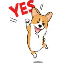 대박소양 곰탕 이미지