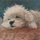 발레스 | 그 무엇보다 완벽한, 아네트 발레스테리의 말티즈 그림 이야기